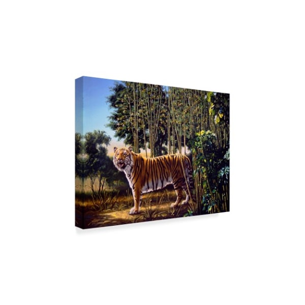 D. Rusty Rust 'Hidden Tiger ' Canvas Art,24x32